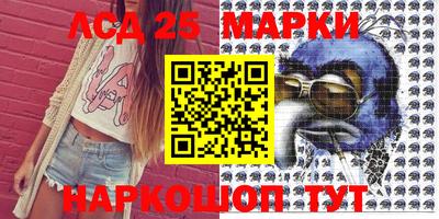 амф Сланцы
