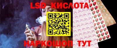 амф Сланцы