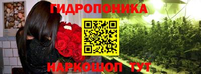амф Сланцы