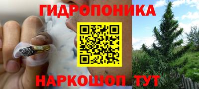 амф Сланцы