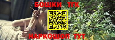 амф Сланцы