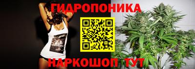 амф Сланцы